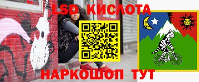 гидропоника Будённовск