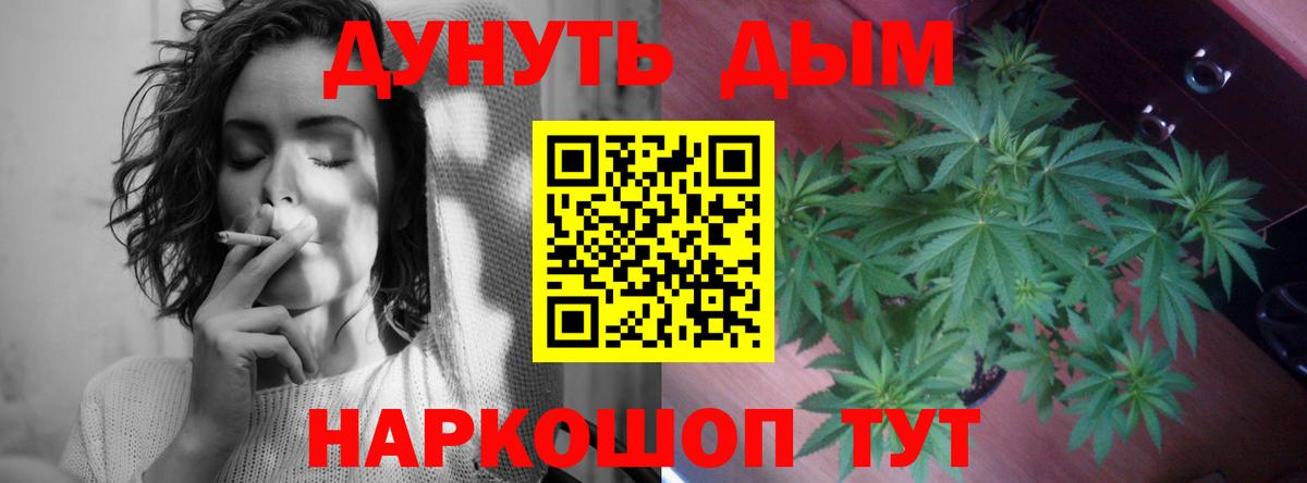 Канабис сатива  Вход с VPN  Ульяновск  Конопля сатива 